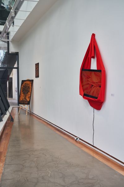 Installation view, Tropical Lab 16, LASALLE, Singapore