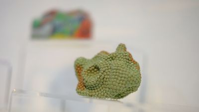 Beaded worm, Manifold, 2024